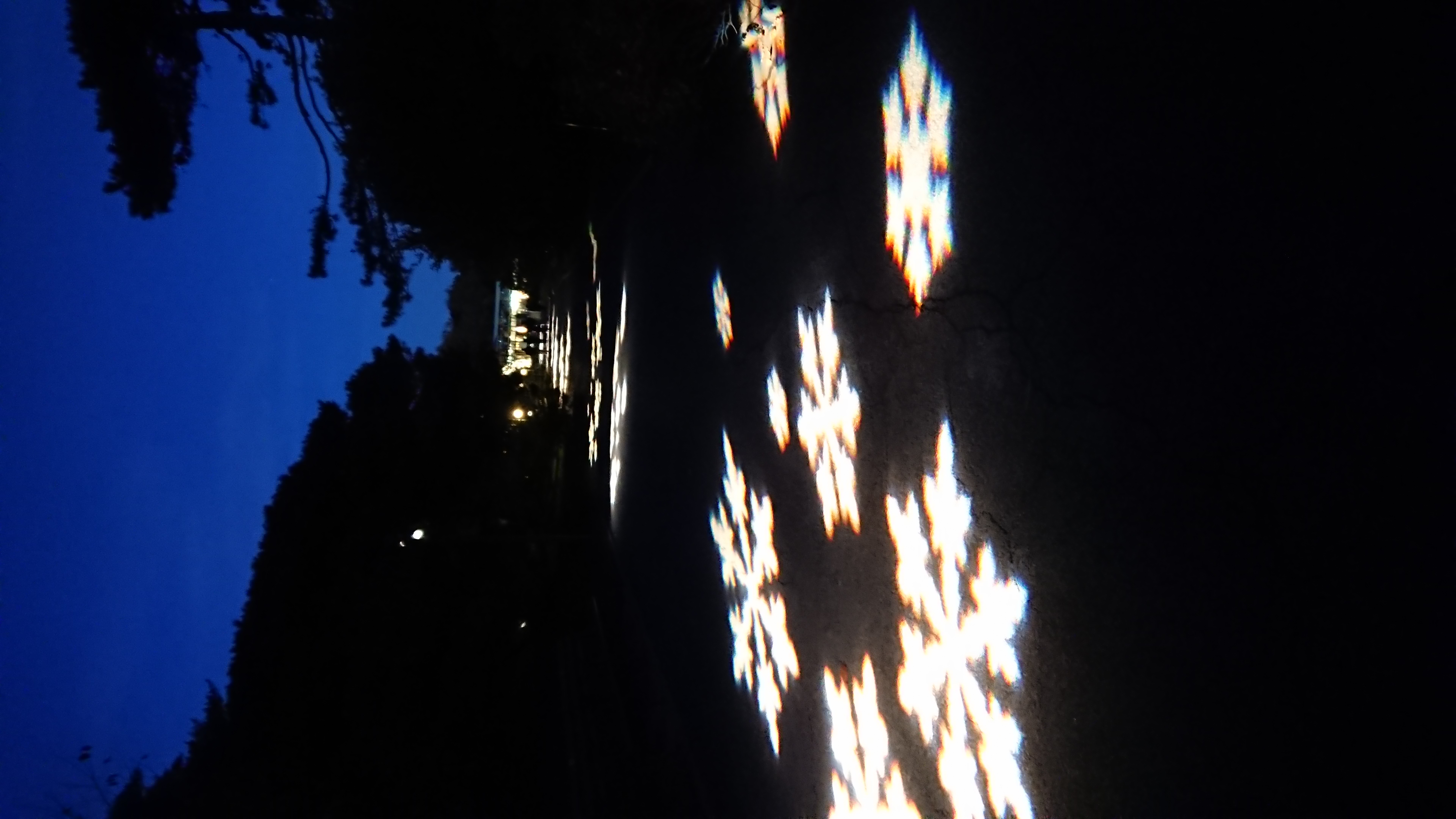 Bot-gar-lights