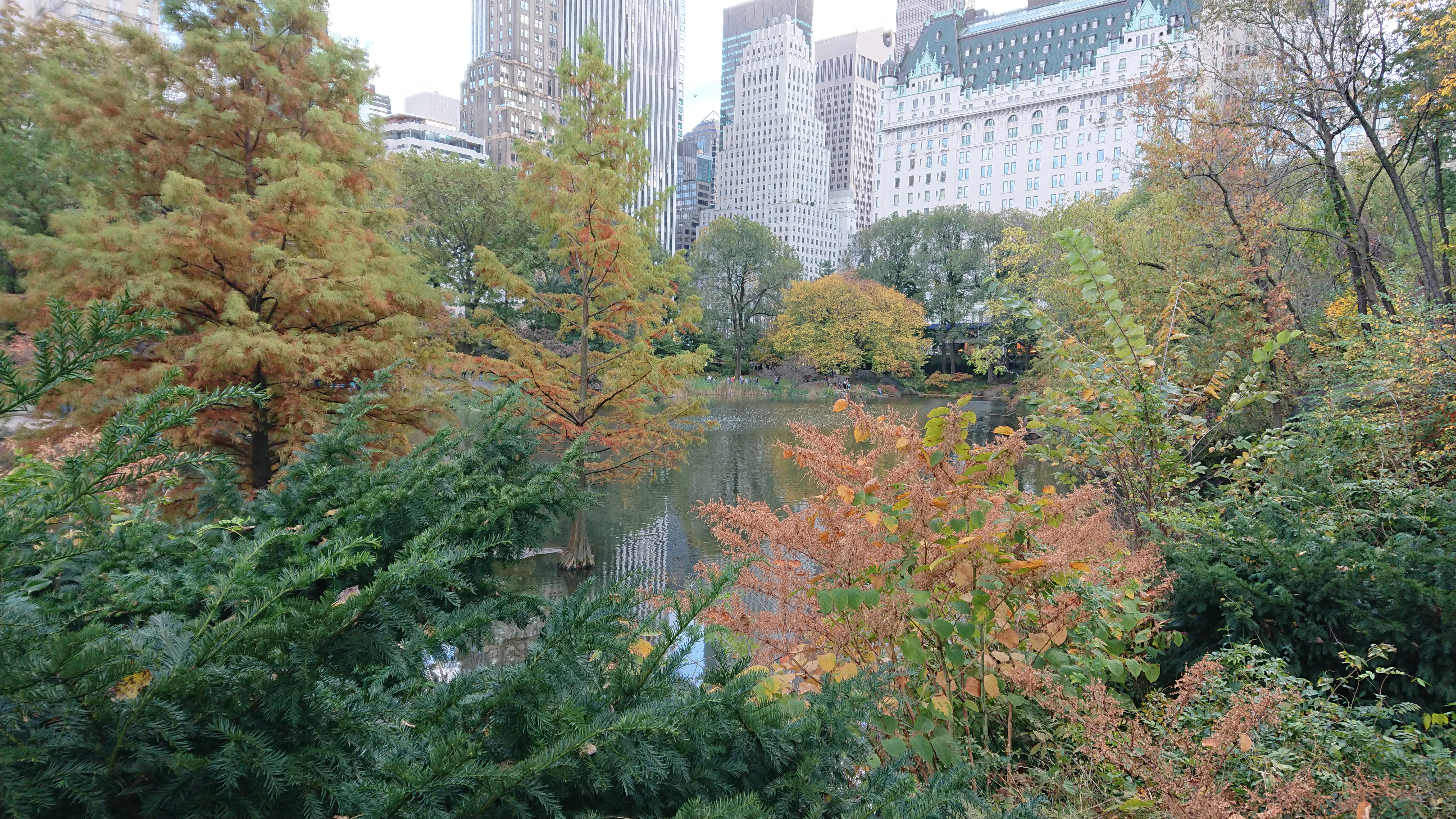 CP-fall