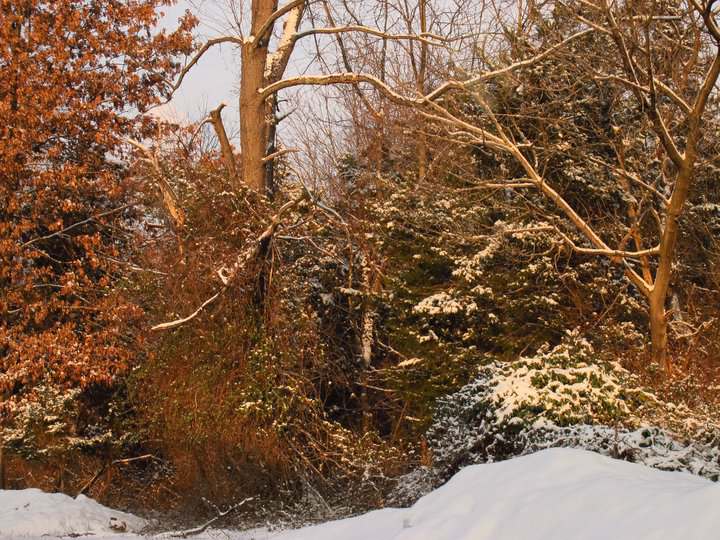 snow-scene2
