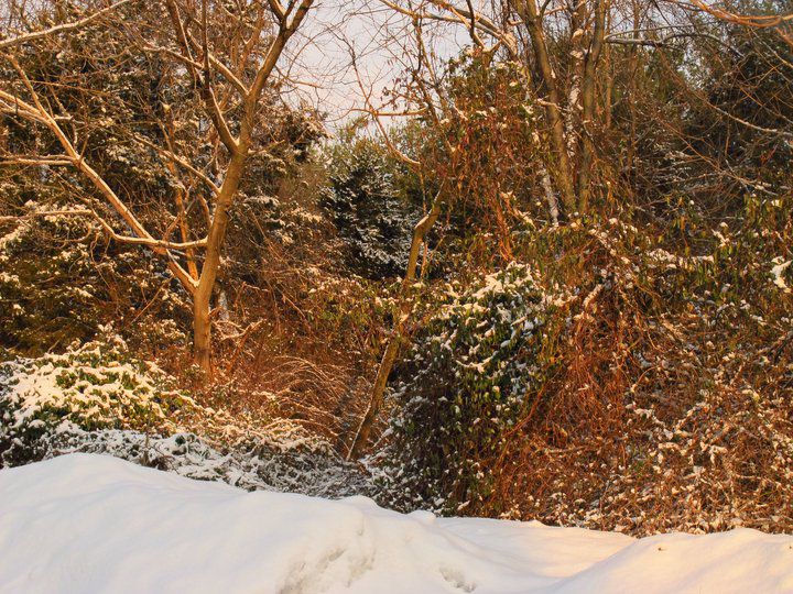 winter3