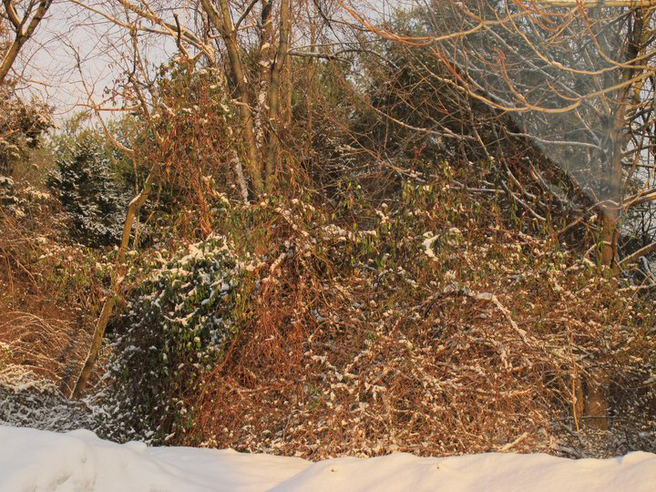 winter4